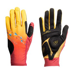 ドリームチェイサー